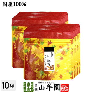 yY100%zI̘ag eB[pbN 2g×5×10܃Zbg eB[obO N _CGbg Mtg v[g Ε Ε v`Mtg  j `C 2025