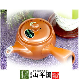 【急須】特むし急須 常滑焼 380ml用 送料無料 国産 茶葉 おしゃれ おすすめ 陶器 大 かわいい セット ギフト 誕生日プレゼント お年賀 御年賀 プチギフト お茶 2026 結婚内祝い 出産内祝い お返し お祝い お礼 贈り物 男性 女性 彼氏 彼女 父 母 夫婦