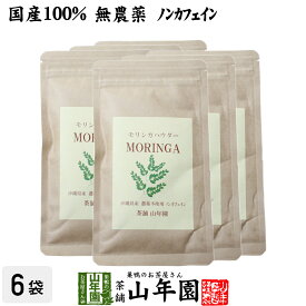 【国産 無農薬】モリンガパウダー 粉末 30g×6袋セット 沖縄県産 送料無料 ノンカフェイン ダイエット サプリ スムージー ヨーグルト 無農薬 モリンガ スーパーフード セット ギフト プレゼント 母の日 父の日 プチギフト お茶 2024 内祝い お返し