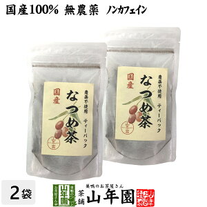 【国産】なつめ茶 ティーバッグ 24g(2g×12P)×2袋セット送料無料 無農薬 ノンカフェイン 漢方 薬膳 果物 ギフト プレゼント お歳暮 御歳暮 プチギフト お茶 内祝い 2025