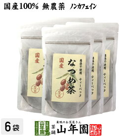 【国産】なつめ茶 ティーバッグ 24g（2g×12P）×6袋セット送料無料 無農薬 ノンカフェイン 漢方 薬膳 果物 ギフト プレゼント 母の日 父の日 プチギフト お茶 内祝い 2024