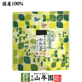 【国産100%】瀬戸内レモンの和紅茶 ティーパック 2g×5包送料無料 ティーバッグ 健康 ダイエット ギフト プレゼント 母の日 父の日 プチギフト お茶 内祝い チャイ 2026