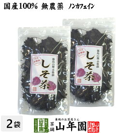 【国産 100%】しそ茶 赤しそ茶 50g×2袋セット 無農薬 ノンカフェイン 宮崎県産または熊本県産 送料無料 しそ緑茶 シソ茶 紫蘇茶 シソ緑茶 紫蘇緑茶 健康茶 妊婦 ダイエット 贈り物 ギフト プレゼント 母の日 父の日 プチギフト お茶 2024 内祝い お返し