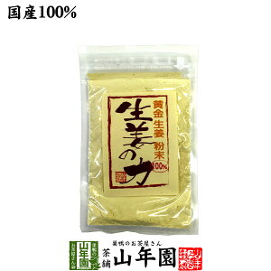 しょうが 粉末 国産 生姜の力 55g 黄金生姜100%の生姜粉末 しょうが 粉末 生姜力 ギフト 贈り物 健康 ダイエット ぽかぽか お土産 おみやげ ギフト プレゼント お歳暮 御歳暮 プチギフト お茶