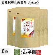 【国産100%】杜仲茶 国産 無農薬 長野県又は熊本県産 2g×30パック×6袋セット 杜仲茶 ティーパック ノン…