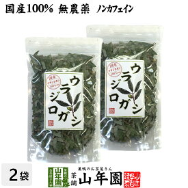 【国産 100%】ウラジロガシ茶 100g×2袋セット 宮崎県産 ノンカフェイン 無農薬 送料無料 ウラジロガシ 健康茶 妊婦 ダイエット ウラジロガシ流石粒 結石 サプリ セット ギフト プレゼント 母の日 父の日 プチギフト お茶 2024 内祝い お返し