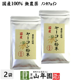 【国産 無農薬 100%】ヤーコン粉末 50g×2袋セット 青森県産 ノンカフェイン 送料無料 ヤコン粉末 ヤーコン茶 ヤコン茶 やーこん茶 やこん茶 苗 サプリ 健康茶 妊婦 ダイエット 粉末 セット ギフト プレゼント 母の日 父の日 お茶 2026 内祝い お返し