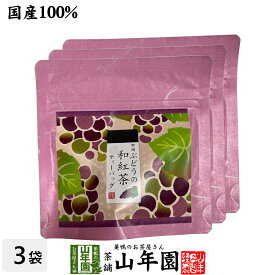 【国産紅茶】甲州ぶどうの和紅茶 2g×5パック×3袋セット 送料無料 静岡県産紅茶 山梨県産ぶどうティーバッグ ティーパック ダイエット ギフト プレゼント 内祝い お返し バレンタイン プチギフト 2026 お茶 男性 女性 父 お祝い 誕生日
