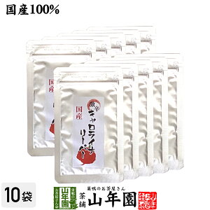 yYzLCi[p[ 10g×10ܐEhhq hƂ炵 HP22B JvVNELlZ Y 蕨 Mtg v[g Ε Ε v`Mtg 2025 j Ԃ