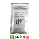 【ニュージーランド産】カシスパウダー 粉末 50g 無添加 ノンカフェイン 送料無料 アントシアニン スーパーフード か…