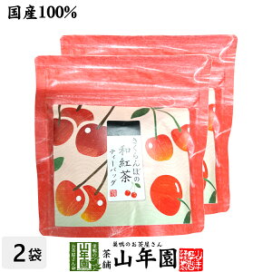 yYgzڂ̘ag 2g×5pbN×2܃Zbg  ÉYg ڃeB Yg {  eB[obO g eB[pbN _CGbg Mtg v[g 