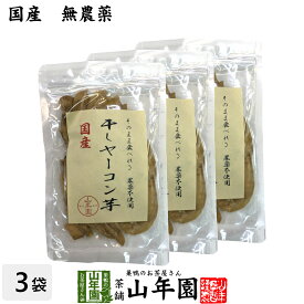 【国産】干しヤーコン芋 60g×3袋セット国産 無農薬 無添加 そのまま食べれる 健康 送料無料 ダイエット ギフト プレゼント 母の日 父の日 プチギフト お茶 内祝い 2026