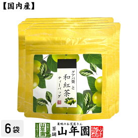 【国産紅茶】グアバ葉と和紅茶 2g×5パック×6袋セット 送料無料 静岡県産紅茶 グアバの葉 国産紅茶 日本茶 グァバ ティーバッグ 紅茶 ティーパック ダイエット ギフト プレゼント 内祝い お返し 父の日 お中元 プチギフト 2024 お茶 男性 女性 父 お祝い 誕生日