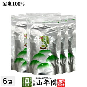 業務用 緑茶 煎茶 ティーバッグ 5g×100p×6袋セット 茶葉厳選 本格的 送料無料 ティーパック 冷水でもHOTでもおいしい 妊婦 ダイエット 食物繊維 贈り物 ギフト プレゼント お歳暮 御歳暮 プチ
