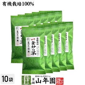 日本茶 お茶 茶葉 特選 釜炒り茶 100g×10袋セット 健康 送料無料 国産 緑茶 ギフト プレゼント お年賀 御年賀 プチギフト お茶 内祝い 2021 早割 還暦祝い 男性 女性 父 母 贈り物 香典返し 挨拶品 お土産 おみやげ お祝い 誕生日 祖父 祖母 お礼 夫婦