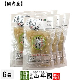 【国産原料使用】沢田の味 らっきょうりんご 甘酢漬 100g×6袋セット送料無料 自然と健康の郷 群馬県吾妻郡産 健康 ダイエット ギフト プレゼント 母の日 父の日 プチギフト お茶 内祝い チャイ 2024