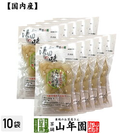 【国産原料使用】沢田の味 らっきょうりんご 甘酢漬 100g×10袋セット送料無料 自然と健康の郷 群馬県吾妻郡産 健康 ダイエット ギフト プレゼント 父の日 お中元 プチギフト お茶 内祝い チャイ 2024