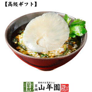 y MtgzӂЂꒃЂ  ނۂƏ Ђ Mtg v[g ӂЂ tJq Ђ̑f  j 蕨 Â v[g Ε Ε v`M