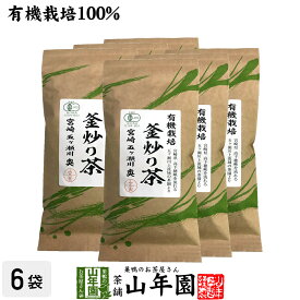 日本茶 お茶 茶葉 釜炒り茶 100g×6袋セット 健康 送料無料 国産 緑茶 ダイエット ギフト プレゼント お年賀 御年賀 プチギフト お茶 内祝い 2021 早割 還暦祝い 男性 女性 父 母 贈り物 香典返し 挨拶品 お土産 おみやげ お祝い 誕生日 祖父 祖母 お礼 夫婦