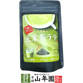 玄米茶ラテ 100g 送料無料 高級 玄米茶カプチーノ 玄米茶ラテスムージー 玄米茶オーレ 玄米茶オレ 玄米茶ケーキ 玄米茶 粉末 美味しい お菓子 玄米茶スイーツ セット 甘い お茶 母の日 父の日 2026 ギフト プレゼント プチギフト 内祝い お返し