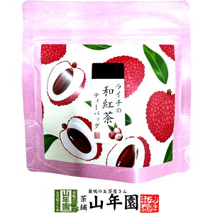 yYgzC`̘ag 10g(2g×5pbN)  ÉYg C`eB Yg { C`eB[obO g eB[pbN _CGbg Mtg v[g j Ԃ Ε