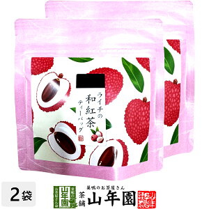 yYgzC`̘ag 10g(2g×5pbN)×2܃Zbg  ÉYg C`eB Yg { C`eB[obO g eB[pbN _CGbg Mtg v[g j 