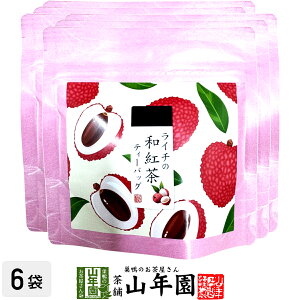 yYgzC`̘ag 10g(2g×5pbN)×6܃Zbg  ÉYg C`eB Yg { C`eB[obO g eB[pbN _CGbg Mtg v[g j 