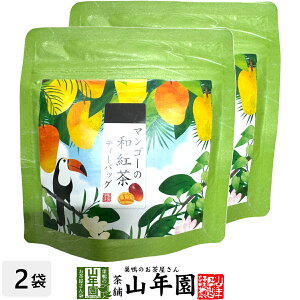 yYgz}S[̘ag 10g(2g×5pbN)×2܃Zbg  ÉYg }S[eB Yg { }S[eB[obO g eB[pbN _CGbg Mtg v[g 