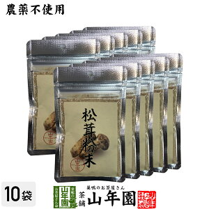y_sgpz  20g×10܃Zbg _ō͔|ꂽĕ N  Β _CGbg Mtg v[g Ε Ε v`Mtg  j 2025