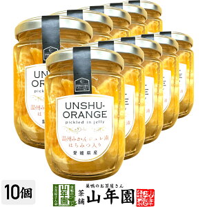 B݂WЂ ݂͂240g(Ō`ʁF150g)×10Zbg QỶB݂gWЂ Mtg v[g Ε Ε v`Mtg  j 2025