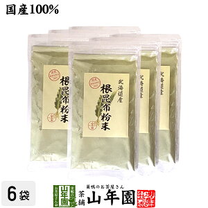 yYzz 100g×6ܖkCYz ԃpE_[ 蕨 Mtg v[g Ε Ε v`Mtg 2025 j Ԃ