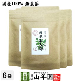 【国産 無農薬】日本山人参茶ティーパック 2g×15包×6袋セット 熊本県産 健康茶 ティーバッグ 妊婦 ダイエット 贈り物 ギフト プレゼント ホワイトデー プチギフト お茶2026 内祝い お返し