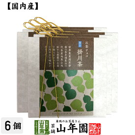 お茶チョコ 東山 掛川茶 2枚入り×6個セットチョコレート お菓子 緑茶 まっちゃ 健康 送料無料 国産 緑茶 母の日 父の日 ギフト プレゼント プチギフト お茶 内祝い 2024 還暦祝い 父 母 贈り物 香典返し