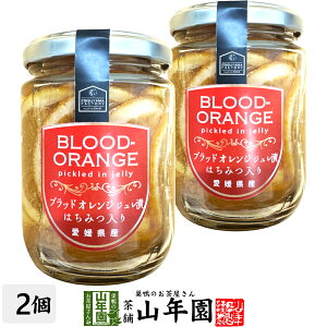 ubhIWWЂ ݂͂ 240g(Ō`ʁF140g)×2Zbg QỸubhIWgWЂ Mtg v[g  hV̓ v`Mtg  j