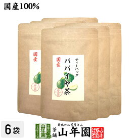 【国産100%】パパイヤ茶 ティーバッグ 宮崎県産 ノンカフェイン 18g（1.5g×12p）×6袋セット送料無料 papaya tea 国産 パパイア ポリフェノール 食物繊維 ダイエット 妊婦 高級 ギフト プレゼント 母の日 父の日 プチギフト お茶 2024 内祝い お返し