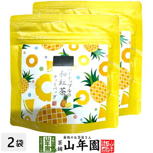 yYgzpCibv̘ag 10g(2g×5pbN)×2܃Zbg  ÉYg pCibveB Yg { pCibv eB[obO g eB[pbN _CGbg Mtg 