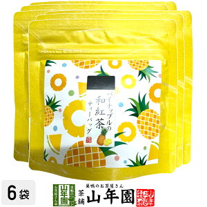 yYgzpCibv̘ag 10g(2g×5pbN)×6܃Zbg  ÉYg pCibveB Yg { pCibv eB[obO g eB[pbN _CGbg Mtg 