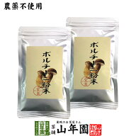 【本場イタリア産無農薬100%】 ポルチーニ茸の粉末 40g×2袋セット 無農薬で栽培されたポルチーニ茸を温…