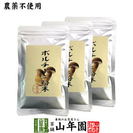 【本場イタリア産無農薬100%】 ポルチーニ茸の粉末 40g×3袋セット 無農薬で栽培されたポルチーニ茸を温風乾燥させて粉末に 健康 送料無料 緑茶 ダイエット ギフト プレゼント ホワイトデー プチギフト お茶 内祝い 2026