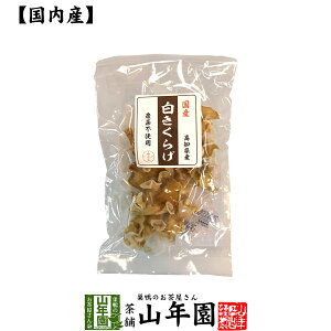 yY100%z炰 23g  VLNQ ؎ Mtg v[g  hV̓ v`Mtg  j 2025