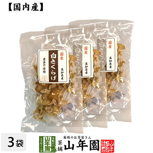 yY100%z炰 23g×3܃Zbg  VLNQ ؎ Mtg v[g Ε Ε v`Mtg  j 2025