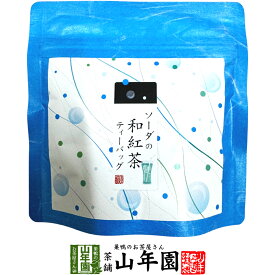 【国産紅茶】ソーダの和紅茶 10g(2g×5パック) 送料無料 静岡県産紅茶 ソーダティ 国産紅茶 日本茶 ソーダティーバッグ 紅茶 ティーパック ダイエット ギフト プレゼント 内祝い お返し 母の日 父の日 プチギフト 2026 お茶 男性 女性 お祝い