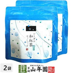 yYgz\[_̘ag 10g(2g×5pbN)×2܃Zbg  ÉYg \[_eB Yg { \[_eB[obO g eB[pbN _CGbg Mtg v[g j 