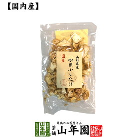 【国産100%】やまぶしたけ 20g 送料無料 ヤマブシタケ 山伏茸 ギフト プレゼント 母の日 父の日 プチギフト お茶 内祝い 2024