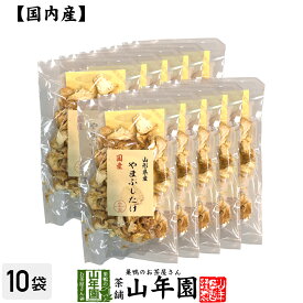 【国産100%】やまぶしたけ 20g×10袋セット 送料無料 ヤマブシタケ 山伏茸 ギフト プレゼント 父の日 お中元 プチギフト お茶 内祝い 2024