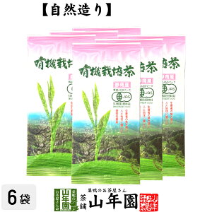 {  t ÉY L@͔| 100g×6܃Zbg Y100 ÉY Β Ε Ε Mtg v[g v`Mtg  j 2025 җj j    蕨 TԂ