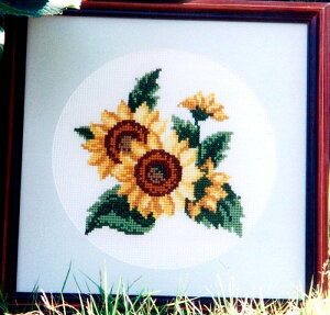 Brodees hJLbg K212H@Ђ܂