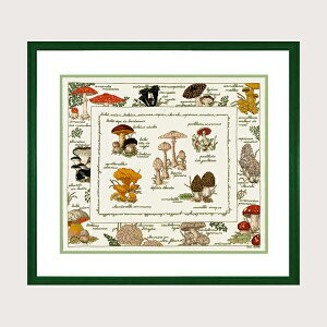 ʌZ[ y{k[EfE_z hJLbg 1193 Les champignons ̂@yz