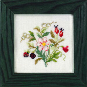 yEva RosenstandzNXXeb`hJLbg Mini-garden autumn 14-426 ~jK[fHyG@ [[X^hEf}[Nz