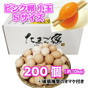 ピンク卵　200個以上　小玉　Sサイズ　約10Kg　送料無料　鶏卵　若鶏卵　初産み卵　お中元　お歳暮　お得　九州産　生…